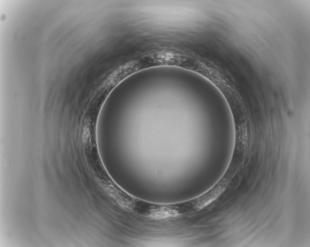 X0000087050754200704251004