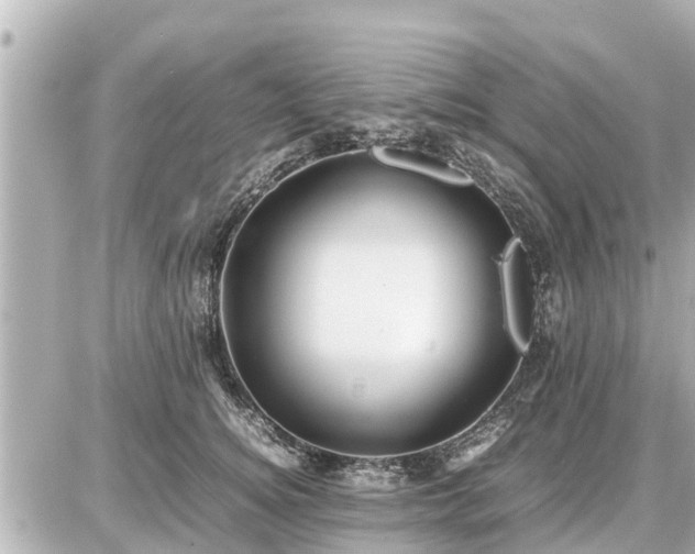 X0000087050756200704251004