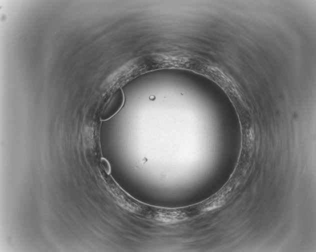 X0000087050757200704251004