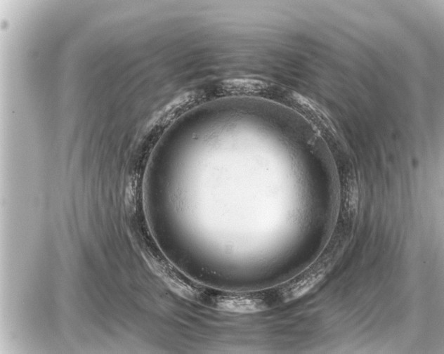 X0000087050759200704251004