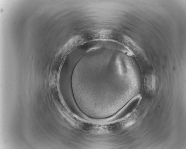 X0000087050760200704251004