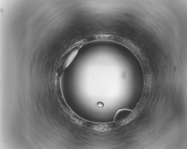 X0000087050761200704251004