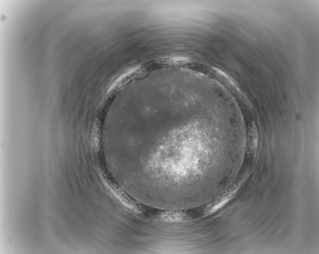 X0000087050762200704251004