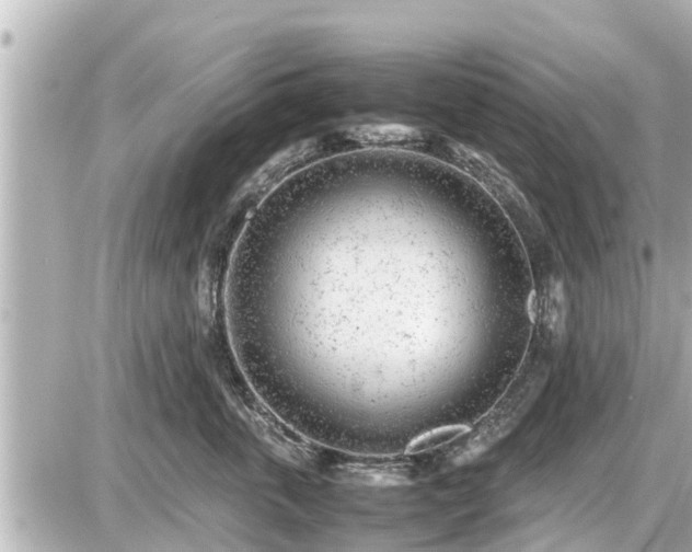 X0000087050763200704251004