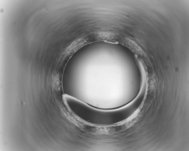 X0000087050764200704251004