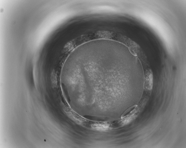 X0000087050765200704251004