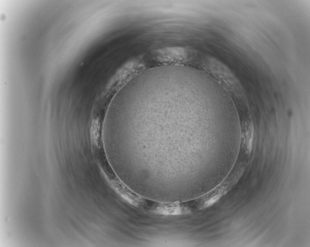 X0000087050767200704251004