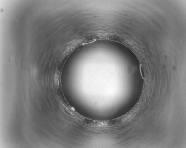 X0000087050768200704251004