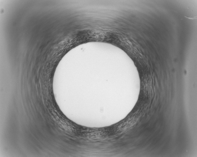 X0000087050769200704251003