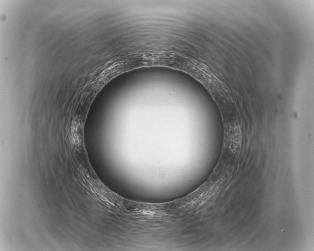 X0000087050770200704251003