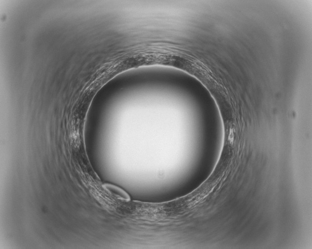 X0000087050771200704251003