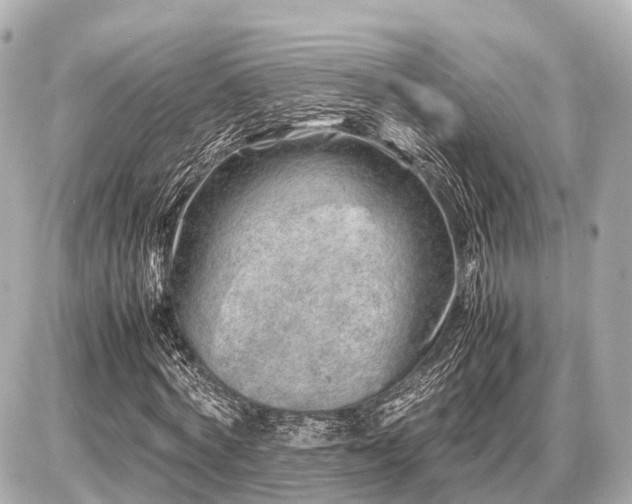 X0000087050772200704251003