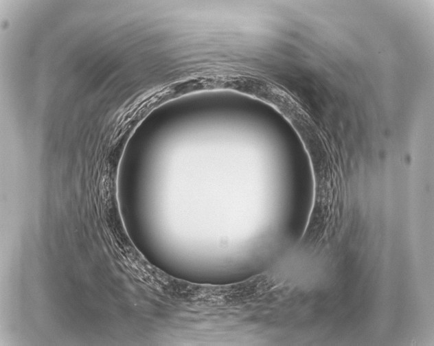 X0000087050773200704251003