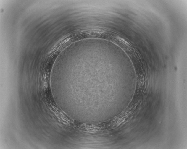 X0000087050774200704251003