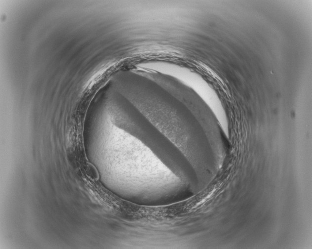 X0000087050775200704251003