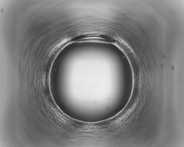 X0000087050777200704251003