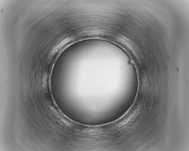 X0000087050778200704251003