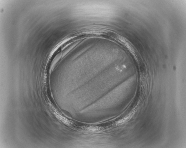 X0000087050779200704251003