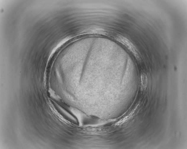 X0000087050780200704251003