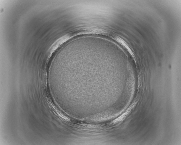 X0000087050781200704251003