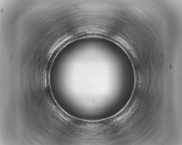 X0000087050782200704251003