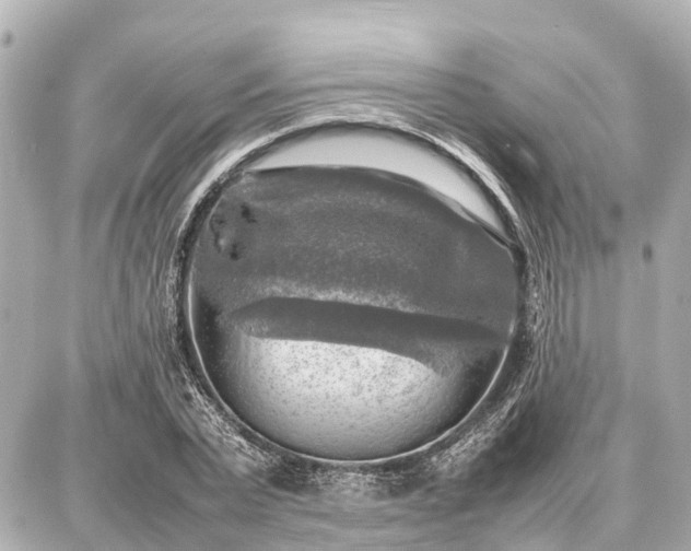 X0000087050783200704251003