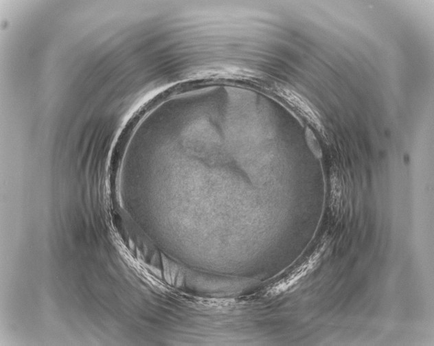 X0000087050784200704251003