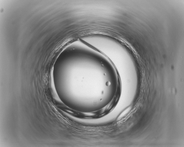 X0000087050785200704251003