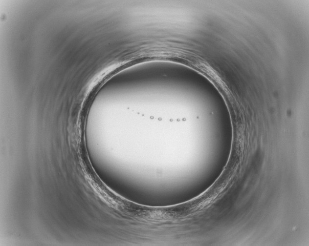 X0000087050787200704251003