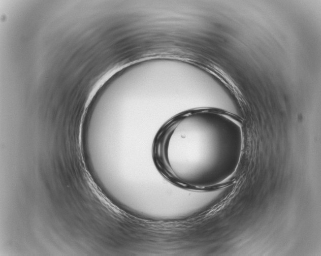 X0000087050788200704251003