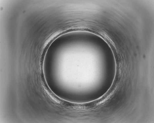 X0000087050789200704251003