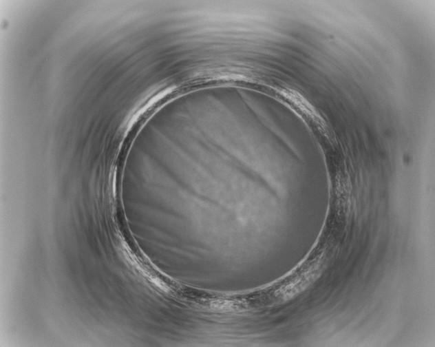 X0000087050790200704251003