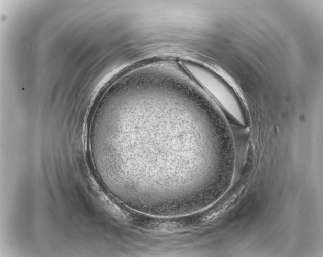 X0000087050791200704251003