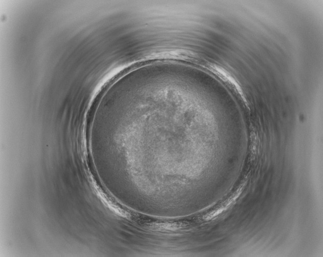 X0000087050792200704251003