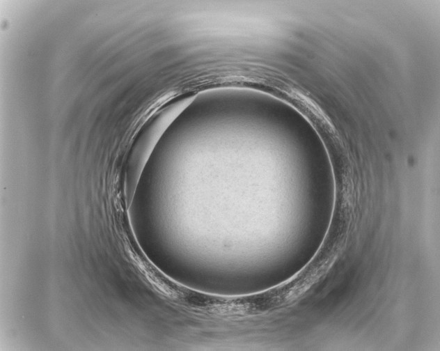 X0000087050793200704251003