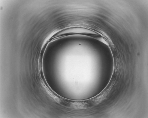 X0000087050796200704251003