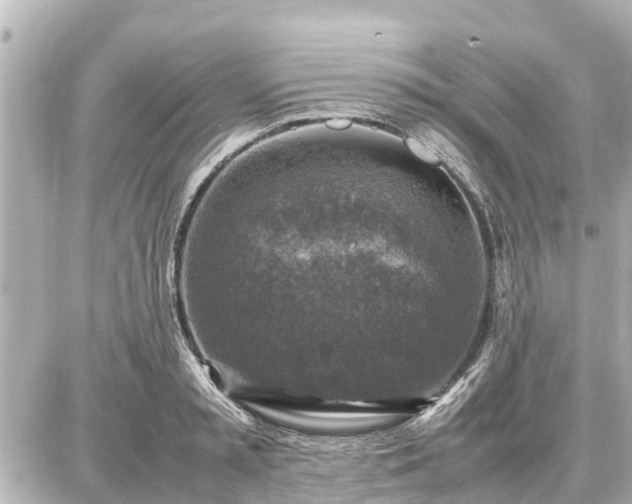 X0000087050797200704251003