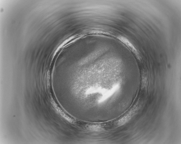 X0000087050798200704251003