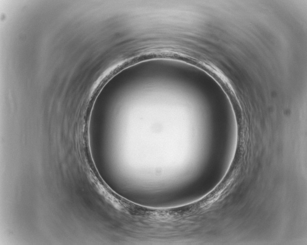 X0000087050799200704251003