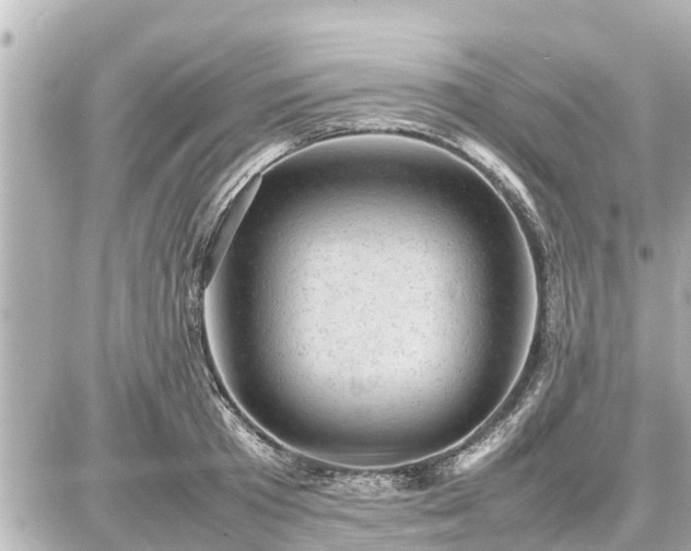 X0000087050801200704251003