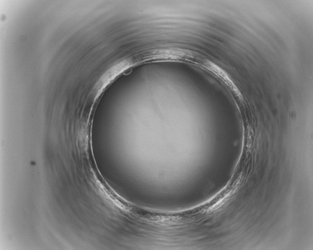 X0000087050802200704251003