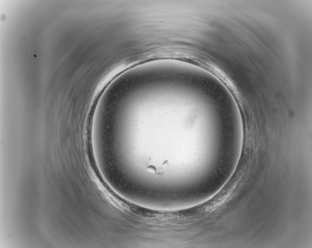 X0000087050803200704251002