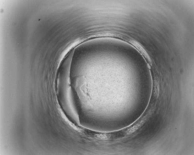 X0000087050805200704251002