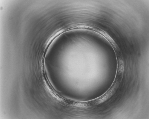 X0000087050806200704251002