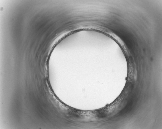 X0000087050807200704251002