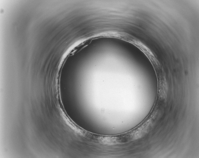 X0000087050808200704251002