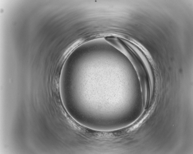 X0000087050809200704251002