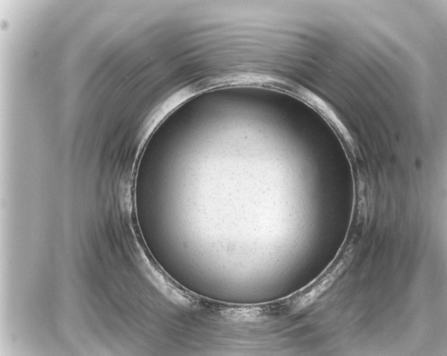 X0000087050810200704251002