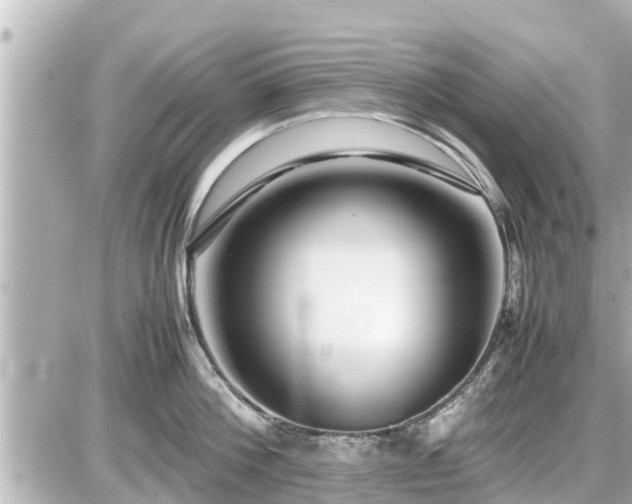 X0000087050812200704251002