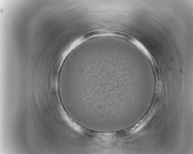 X0000087050813200704251002